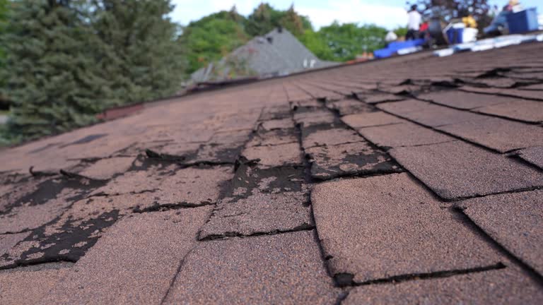 Best Roof Leak Repair  in Wesley Chapel, FL